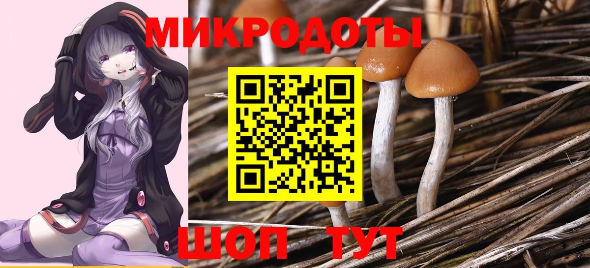 наркошоп  Вход с VPN  Десногорск  Псилоцибиновые грибы Psilocybe 