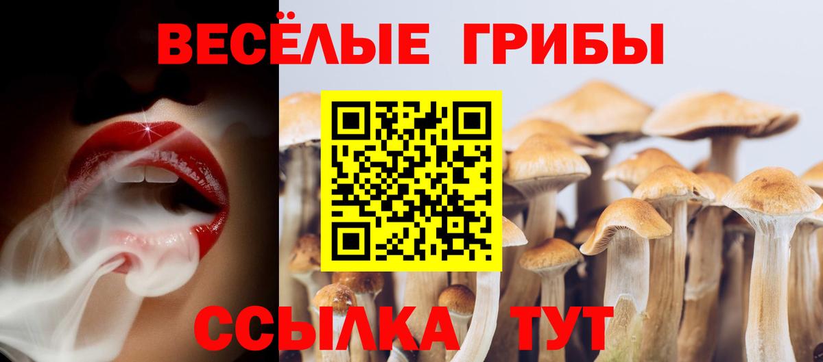 Псилоцибиновые грибы мухоморы Десногорск